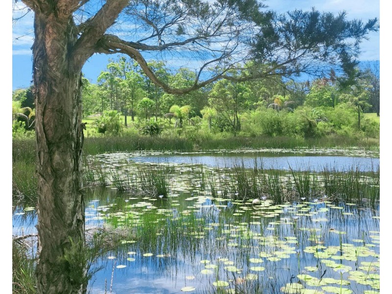 1098 Crescent Head Road, Crescent Head NSW 2440