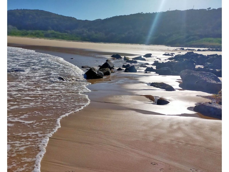 1098 Crescent Head Road, Crescent Head NSW 2440