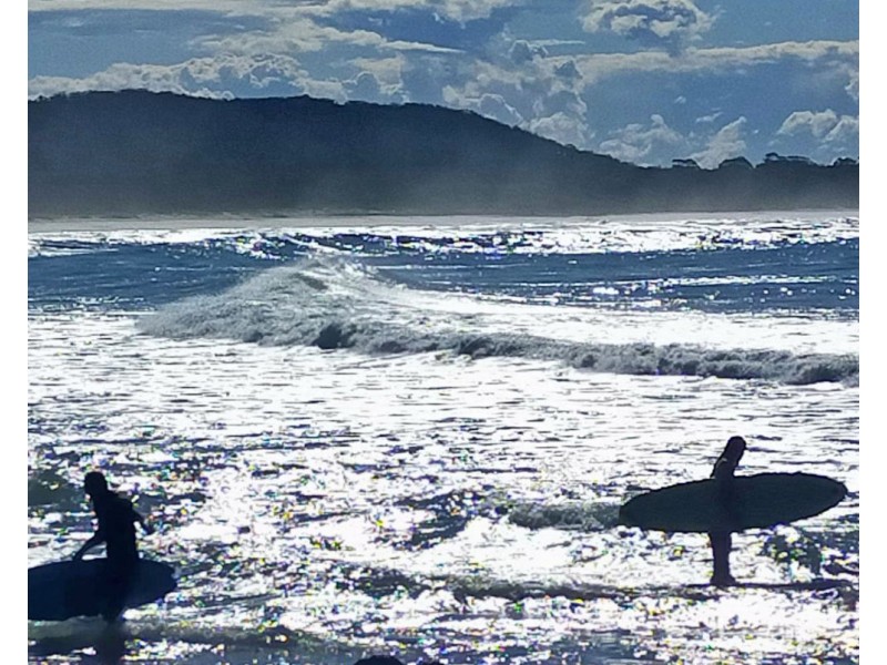 1098 Crescent Head Road, Crescent Head NSW 2440