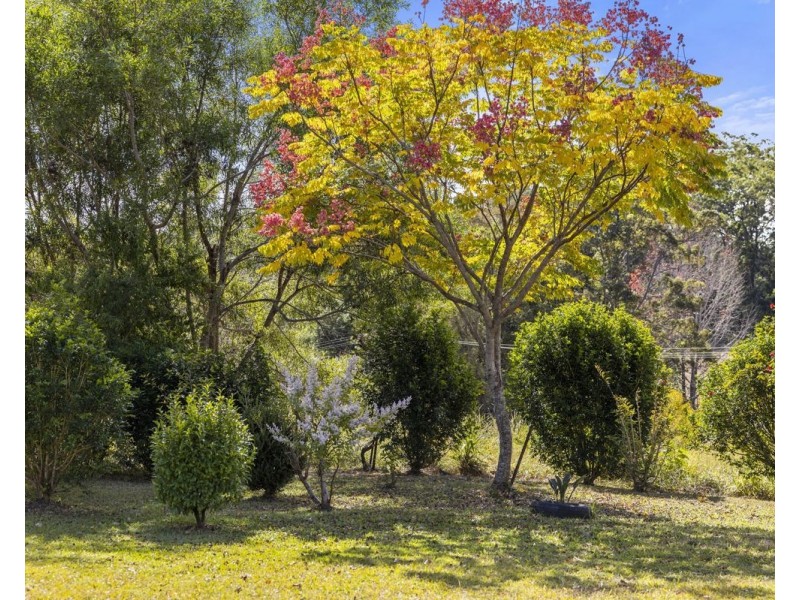 5 Hall Road, Eungai Creek NSW 2441