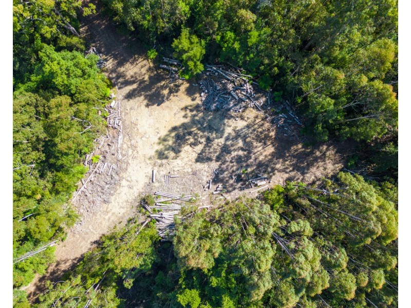 Lot 16 Lower Bobo Road, Ulong NSW 2450
