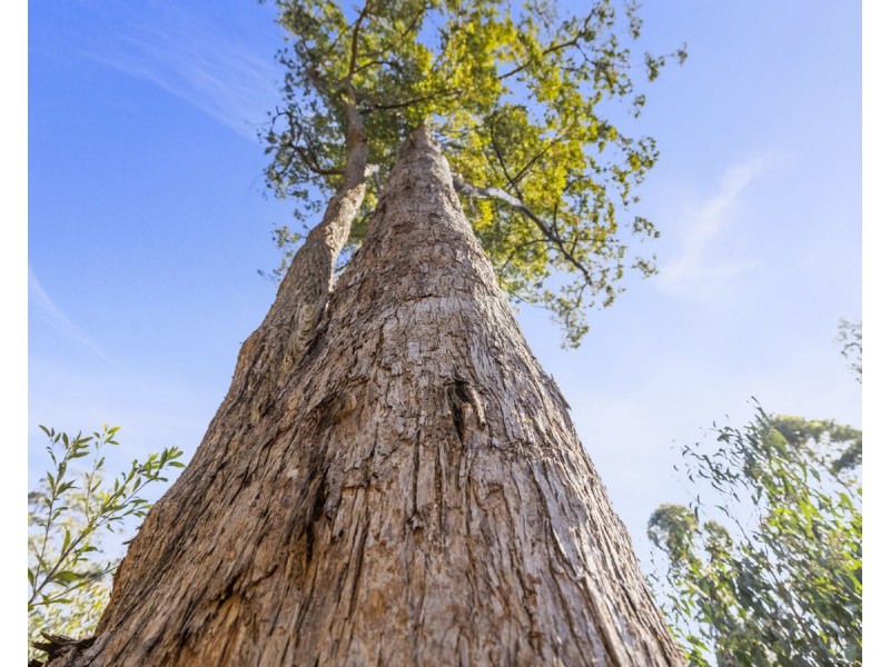 Lot 16 Lower Bobo Road, Ulong NSW 2450