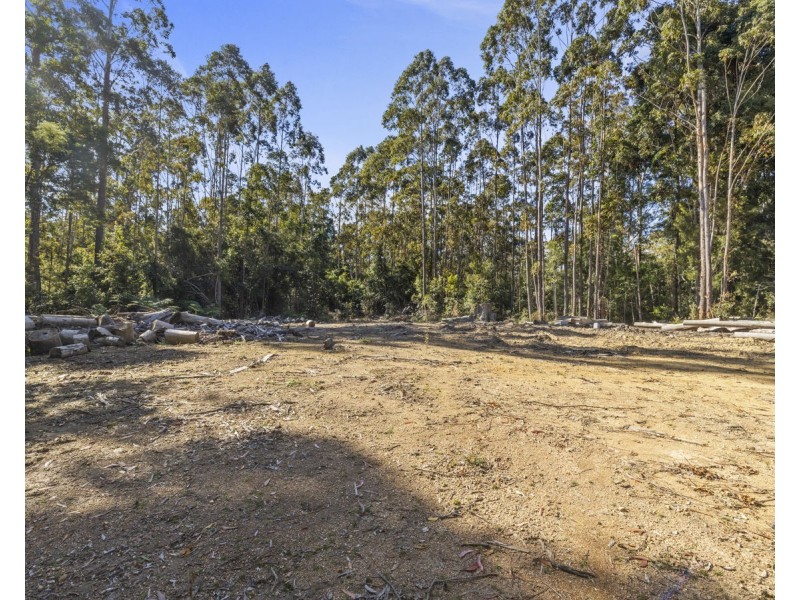 Lot 16 Lower Bobo Road, Ulong NSW 2450