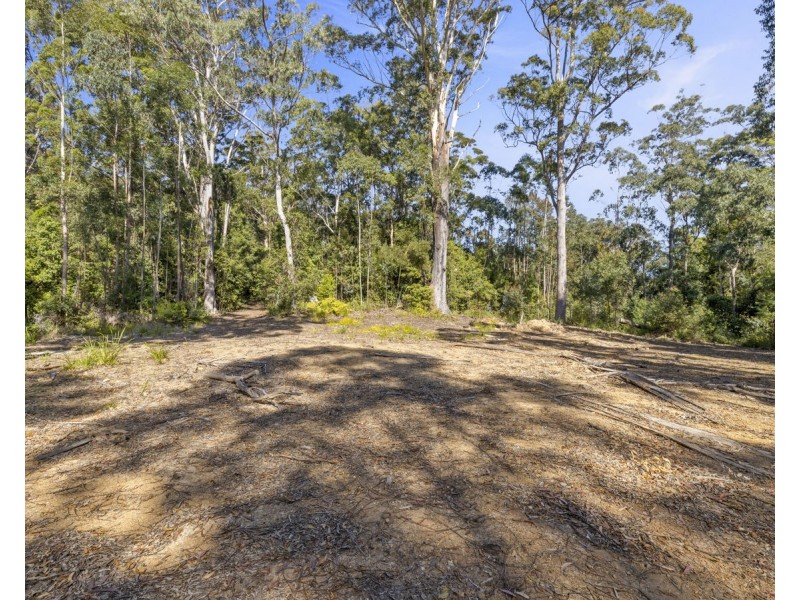 Lot 16 Lower Bobo Road, Ulong NSW 2450