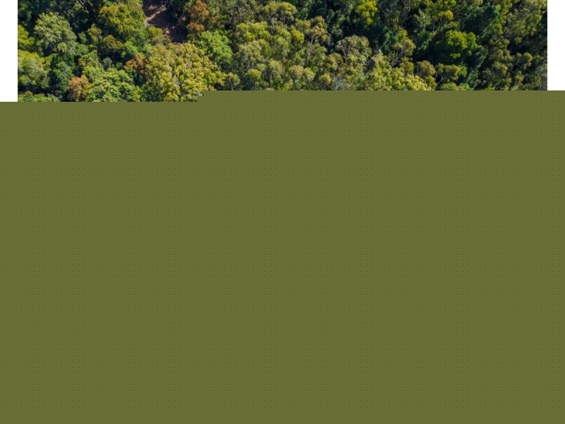 Lot 16 Lower Bobo Road, Ulong NSW 2450