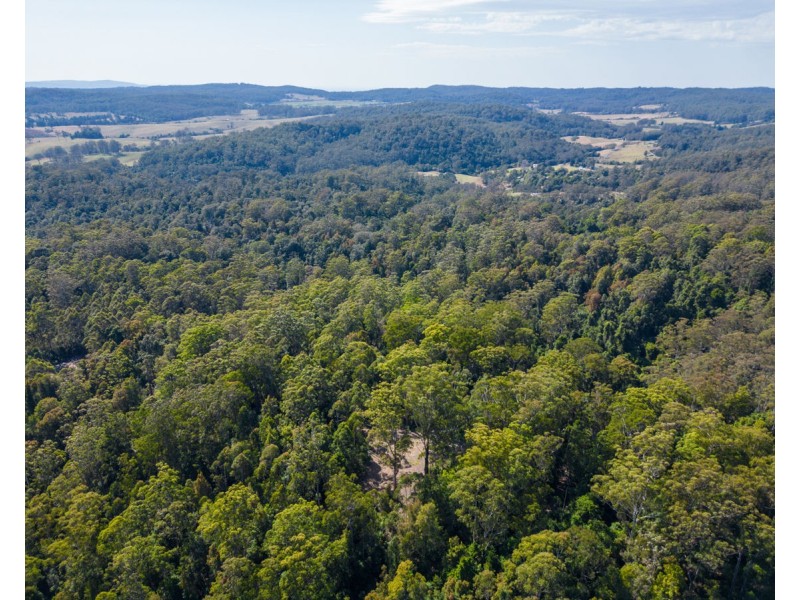 Lot 16 Lower Bobo Road, Ulong NSW 2450