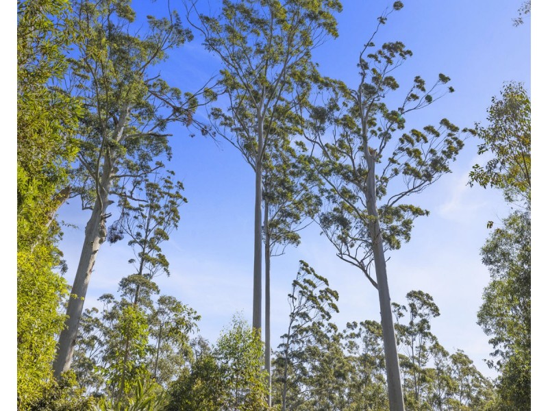Lot 16 Lower Bobo Road, Ulong NSW 2450