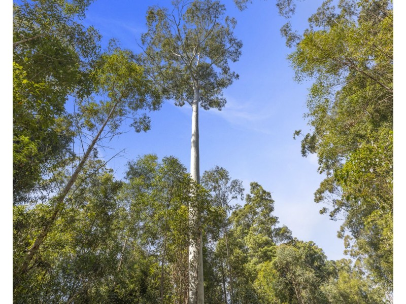 Lot 16 Lower Bobo Road, Ulong NSW 2450