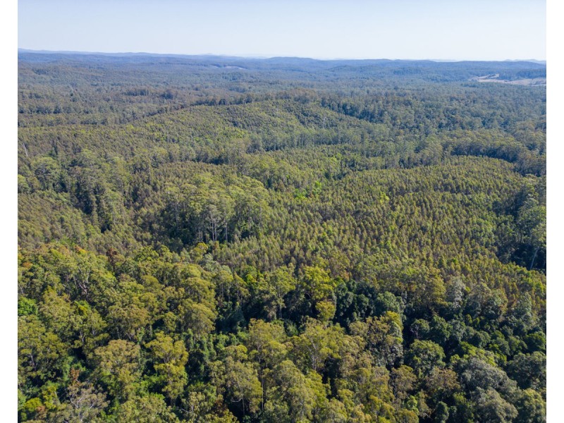 Lot 16 Lower Bobo Road, Ulong NSW 2450