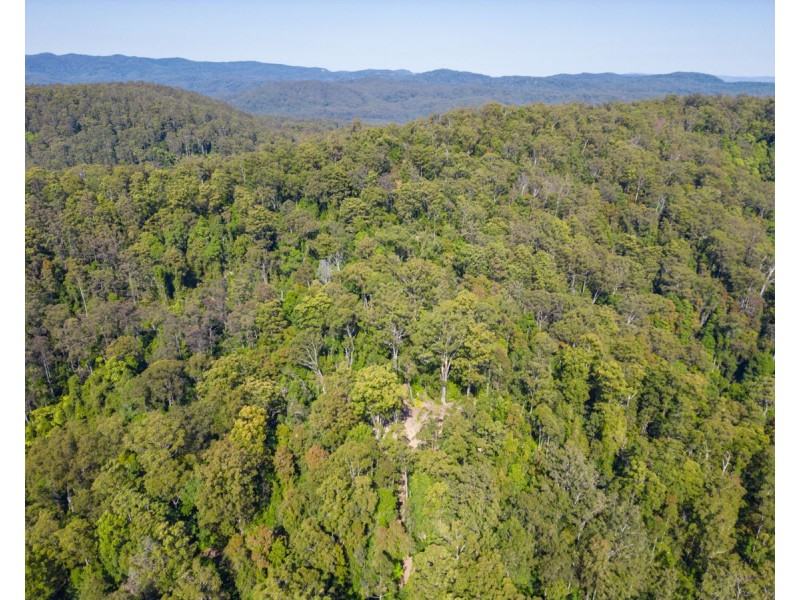Lot 16 Lower Bobo Road, Ulong NSW 2450