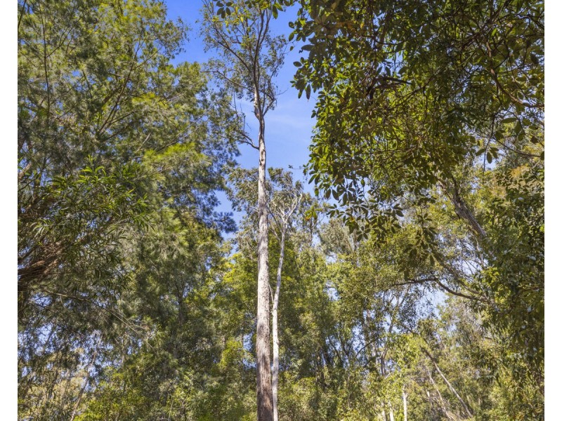 Lot 16 Lower Bobo Road, Ulong NSW 2450