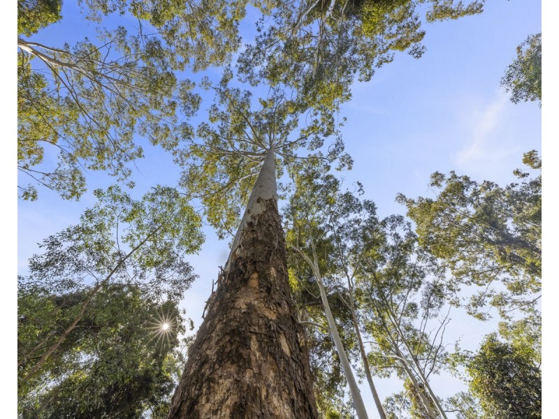 Lot 16 Lower Bobo Road, Ulong NSW 2450