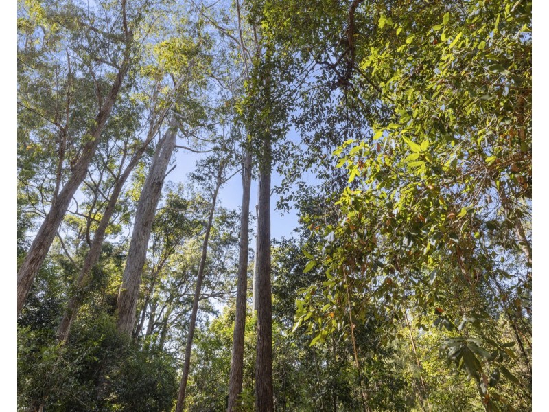 Lot 16 Lower Bobo Road, Ulong NSW 2450