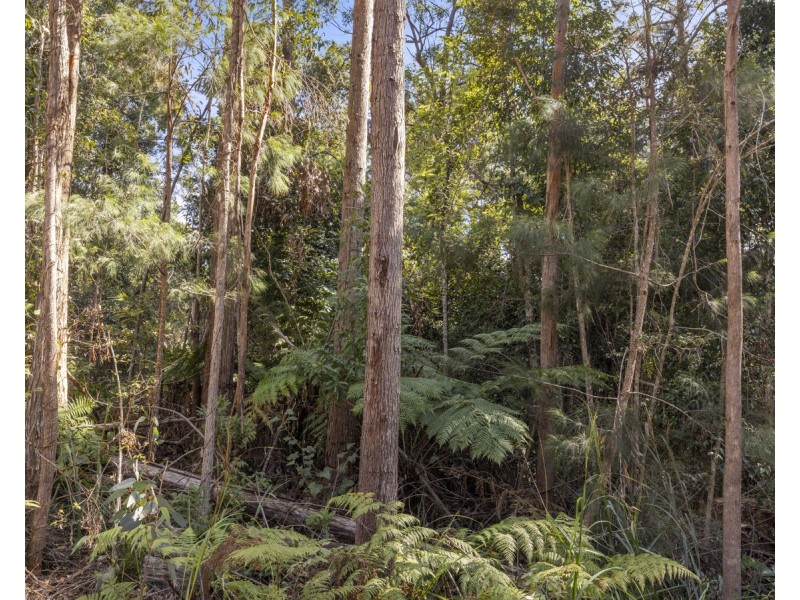 Lot 16 Lower Bobo Road, Ulong NSW 2450