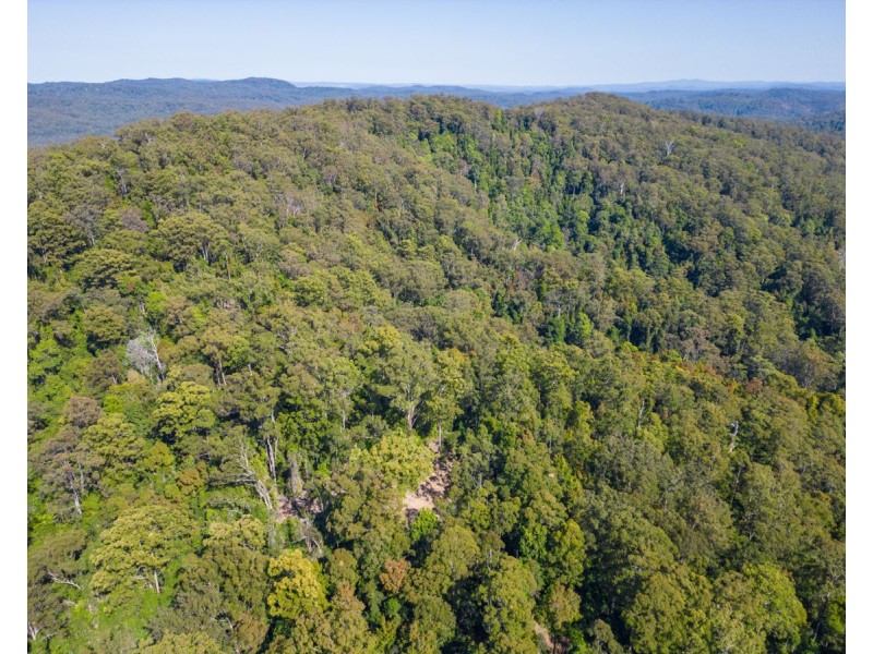 Lot 16 Lower Bobo Road, Ulong NSW 2450