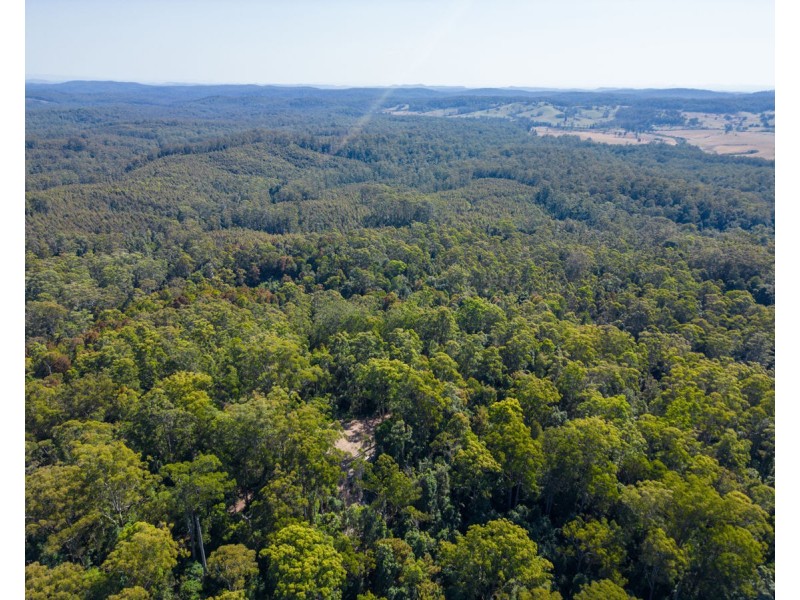 Lot 16 Lower Bobo Road, Ulong NSW 2450
