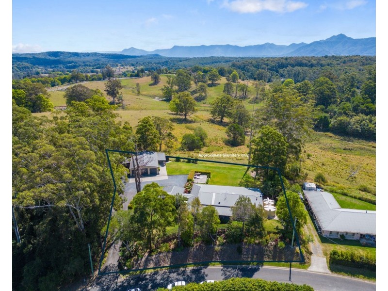 47 Joeliza Drive, Repton NSW 2454