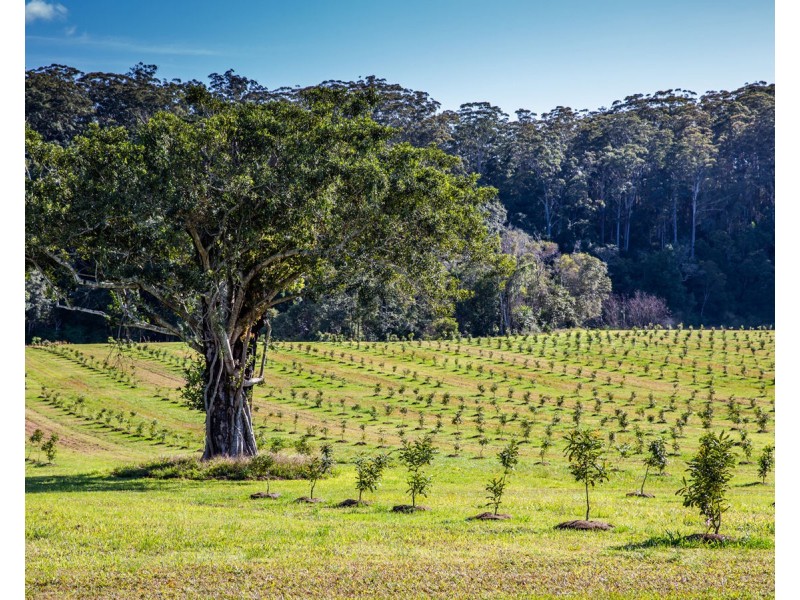 606 Valery Road, Valery NSW 2454