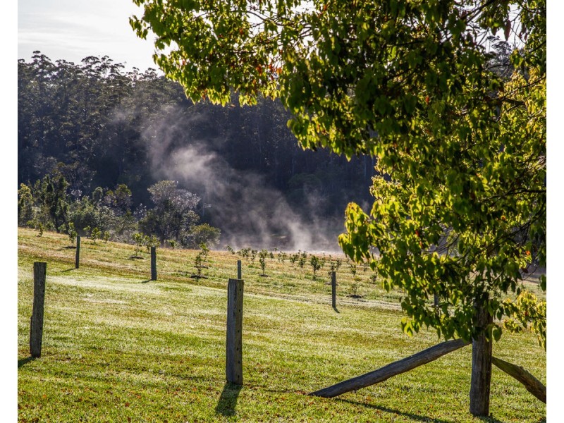 606 Valery Road, Valery NSW 2454