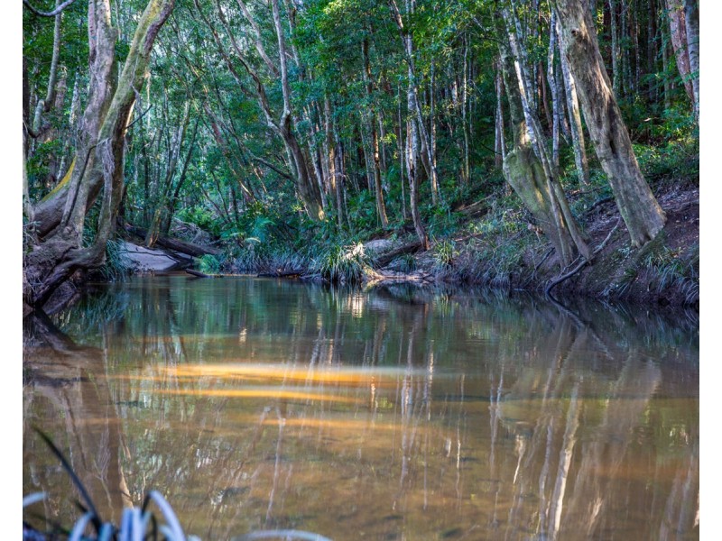 606 Valery Road, Valery NSW 2454