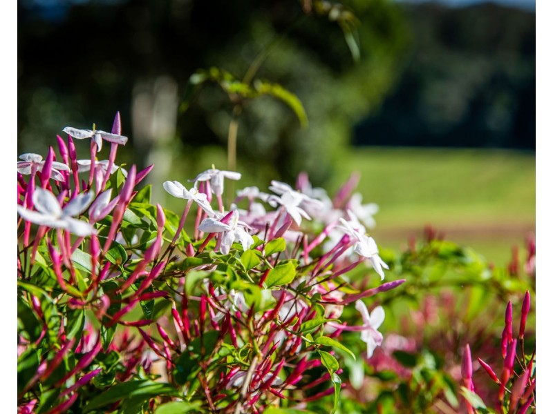 606 Valery Road, Valery NSW 2454