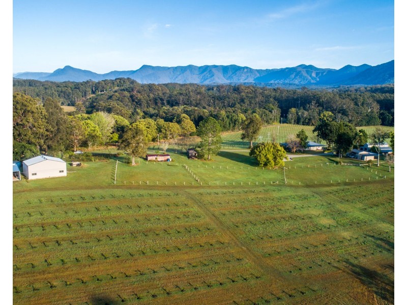 606 Valery Road, Valery NSW 2454