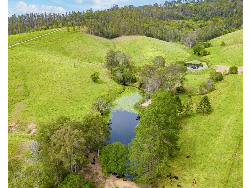 353 Rhones Creek Road, Talarm NSW 2447