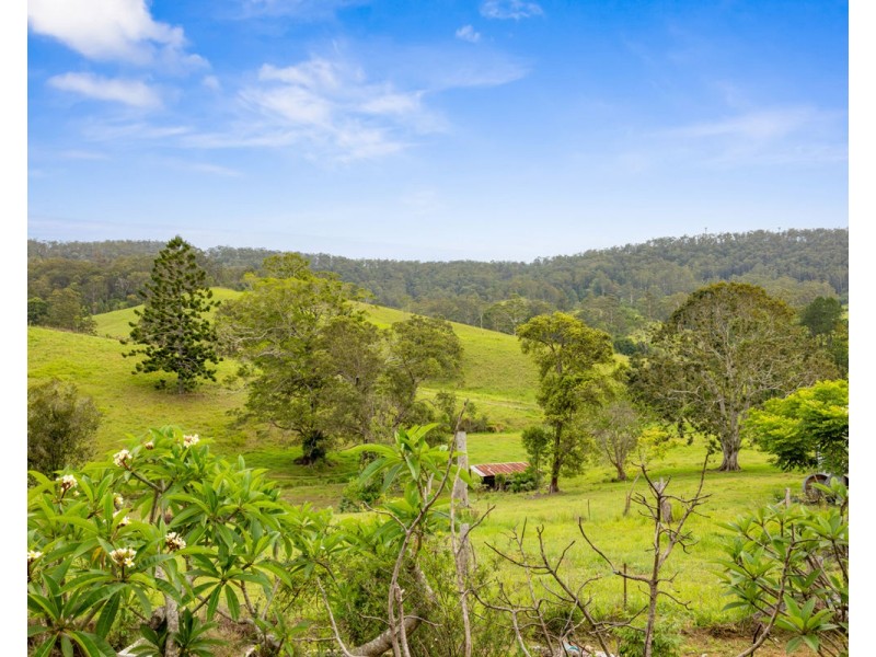 353 Rhones Creek Road, Talarm NSW 2447
