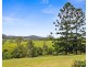 353 Rhones Creek Road, Talarm NSW 2447