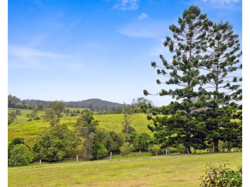 353 Rhones Creek Road, Talarm NSW 2447