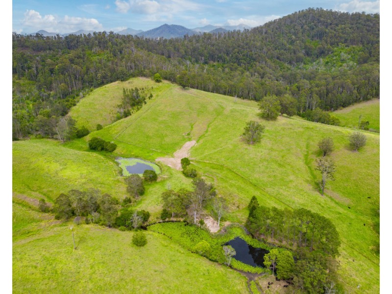 353 Rhones Creek Road, Talarm NSW 2447