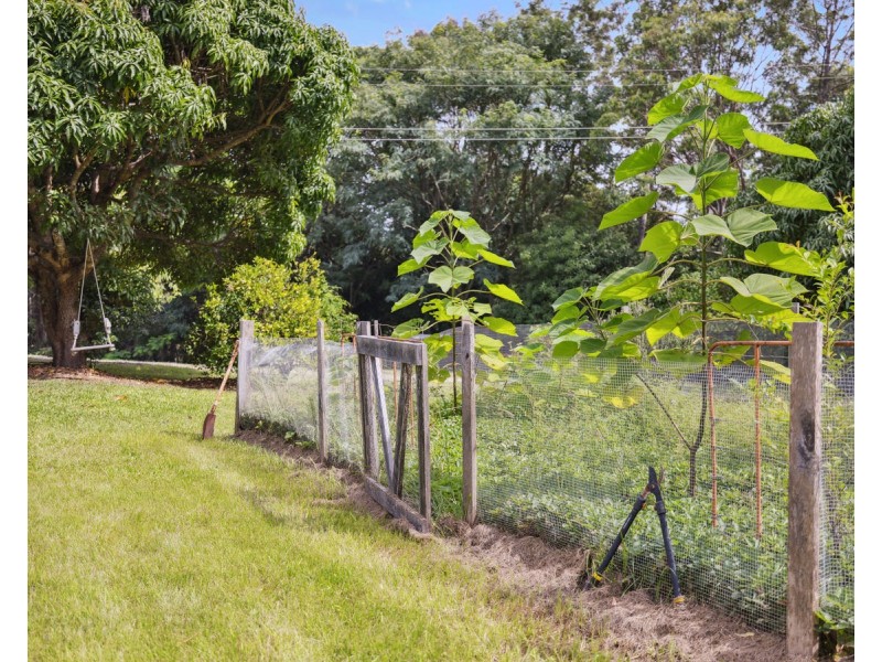 676 Scotts Head Road, Way Way NSW 2447