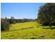 75 Hains Lane, Bellingen NSW 2454