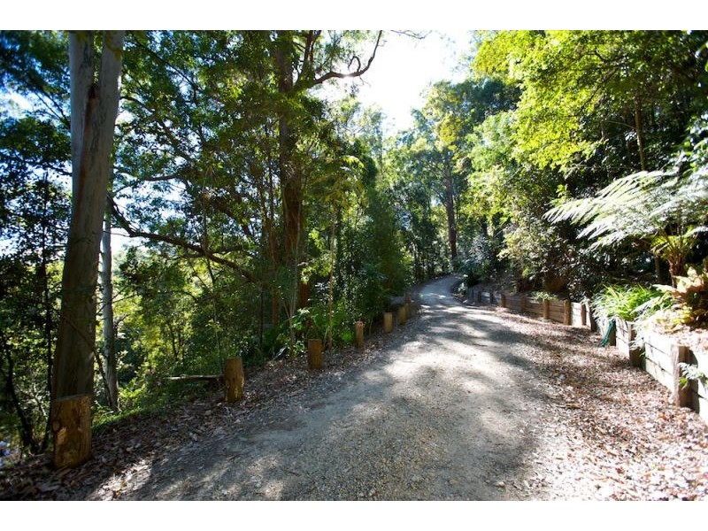 75 Hains Lane, Bellingen NSW 2454