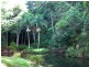 723 Rowlands Creek Road, Uki NSW 2484