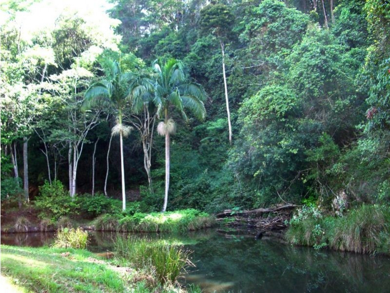 723 Rowlands Creek Road, Uki NSW 2484