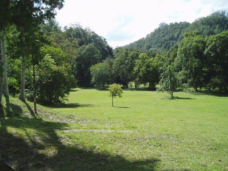 723 Rowlands Creek Road, Uki NSW 2484