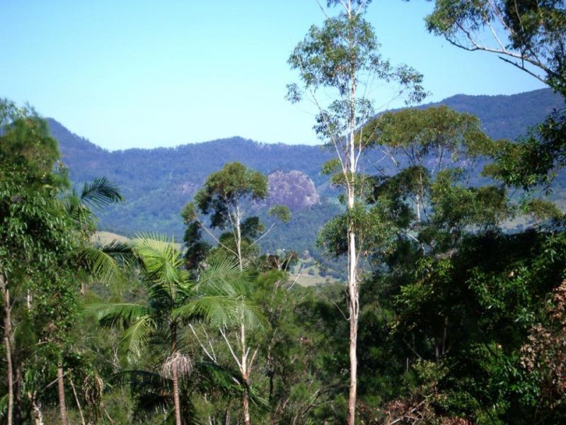 723 Rowlands Creek Road, Uki NSW 2484