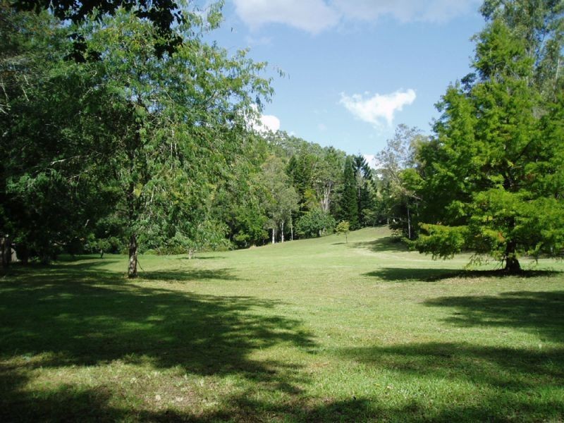 723 Rowlands Creek Road, Uki NSW 2484
