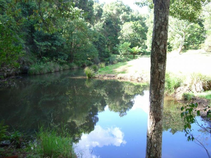 723 Rowlands Creek Road, Uki NSW 2484