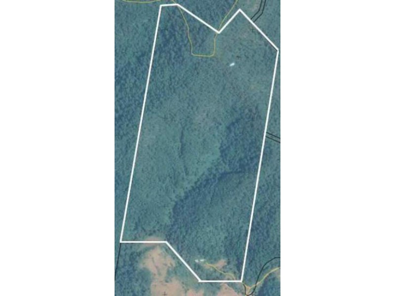 723 Rowlands Creek Road, Uki NSW 2484