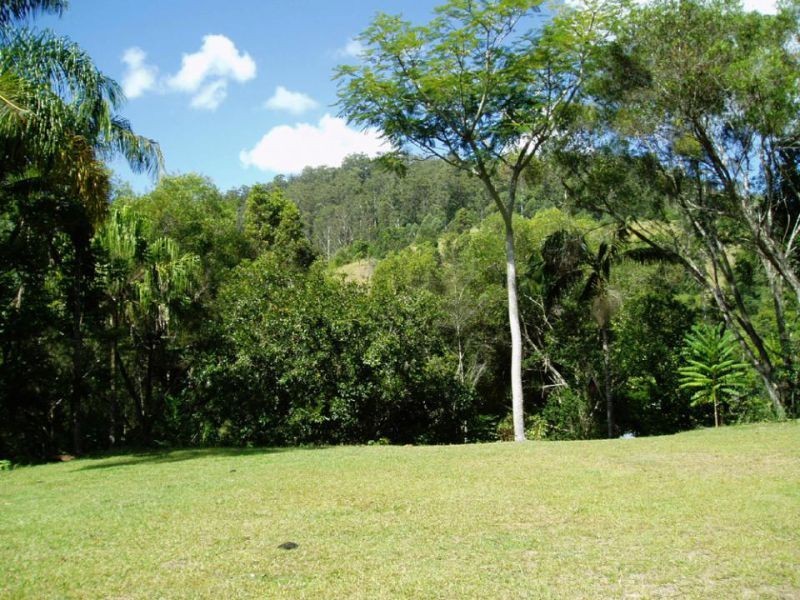 723 Rowlands Creek Road, Uki NSW 2484