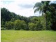 723 Rowlands Creek Road, Uki NSW 2484
