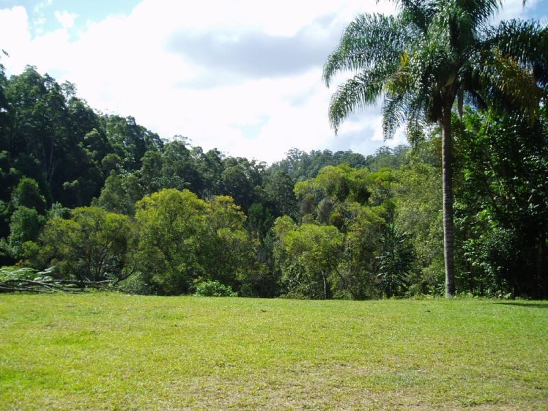 723 Rowlands Creek Road, Uki NSW 2484