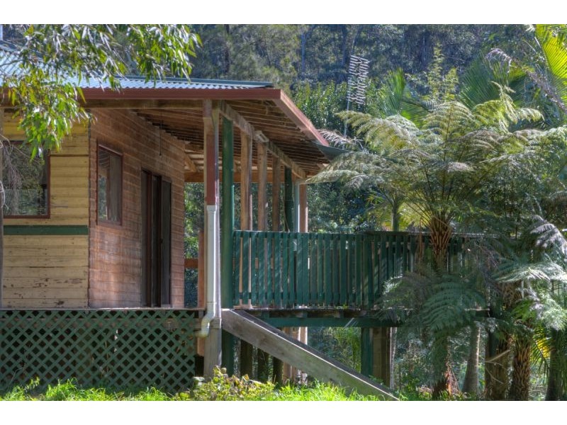 1951 Darkwood Road, Thora, Bellingen NSW 2454