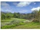 1951 Darkwood Road, Bellingen NSW 2454