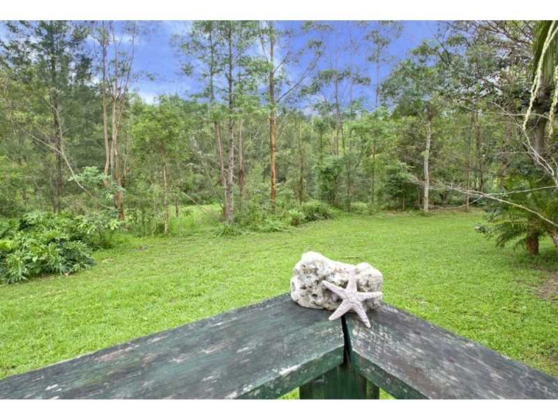 1951 Darkwood Road, Bellingen NSW 2454