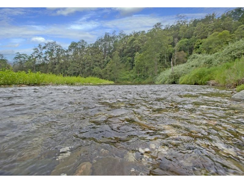 1951 Darkwood Road, Bellingen NSW 2454