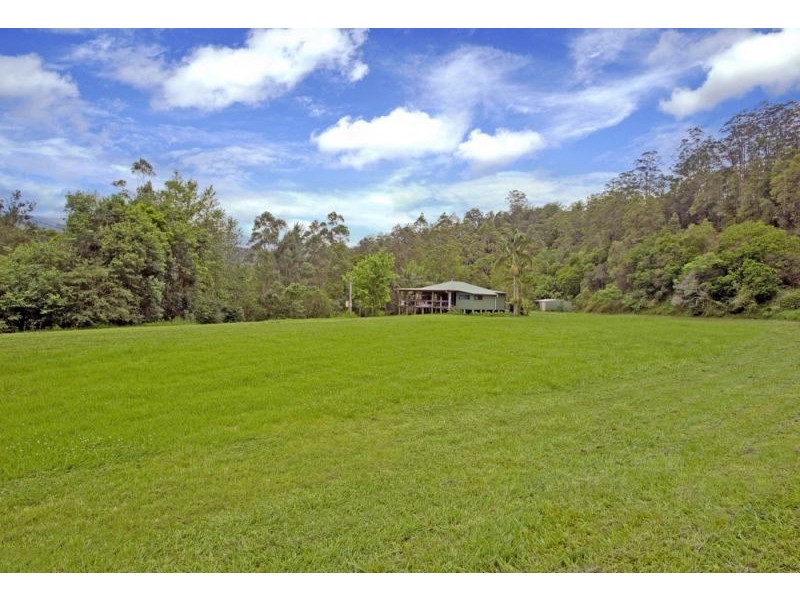 1951 Darkwood Road, Bellingen NSW 2454