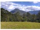 Lot 6 Roses Road, Bellingen NSW 2454